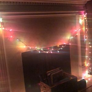 Meet your Posher, Frida